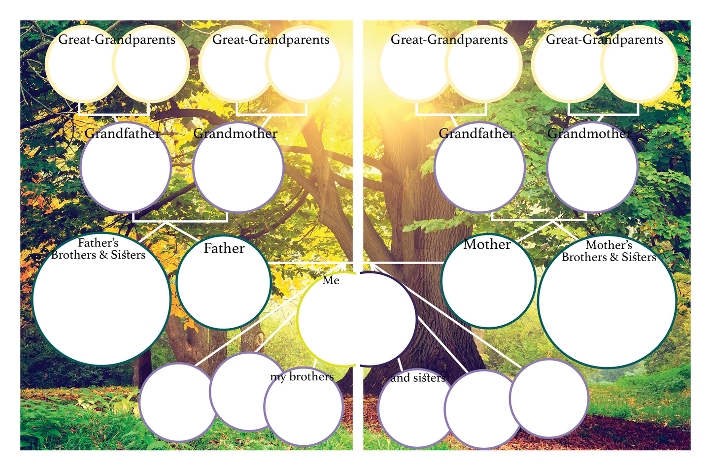 FREE Lottie Family History Chart - 4 Generations