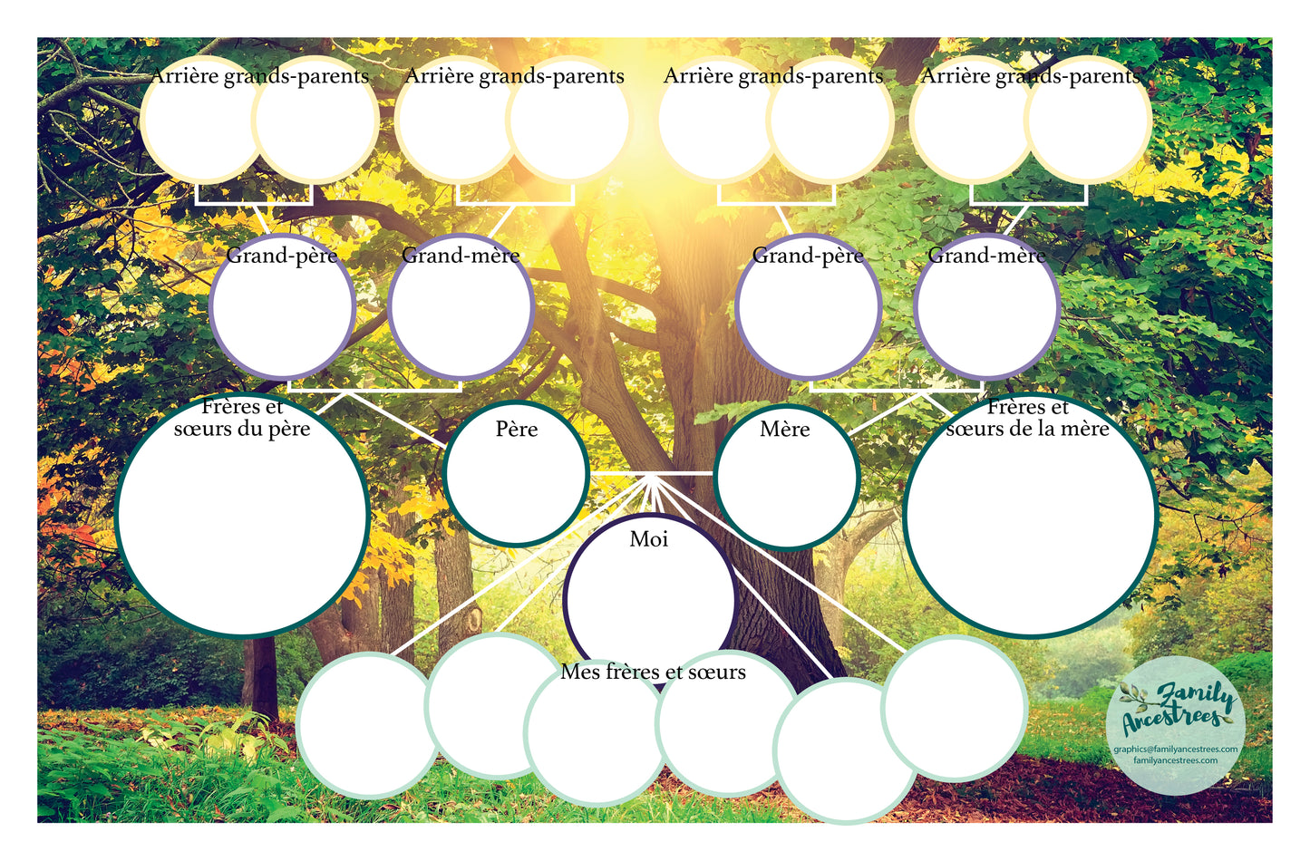 FREE Lottie Family History Chart - 4 Generations