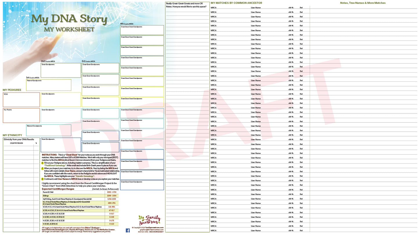 DNA Worksheet