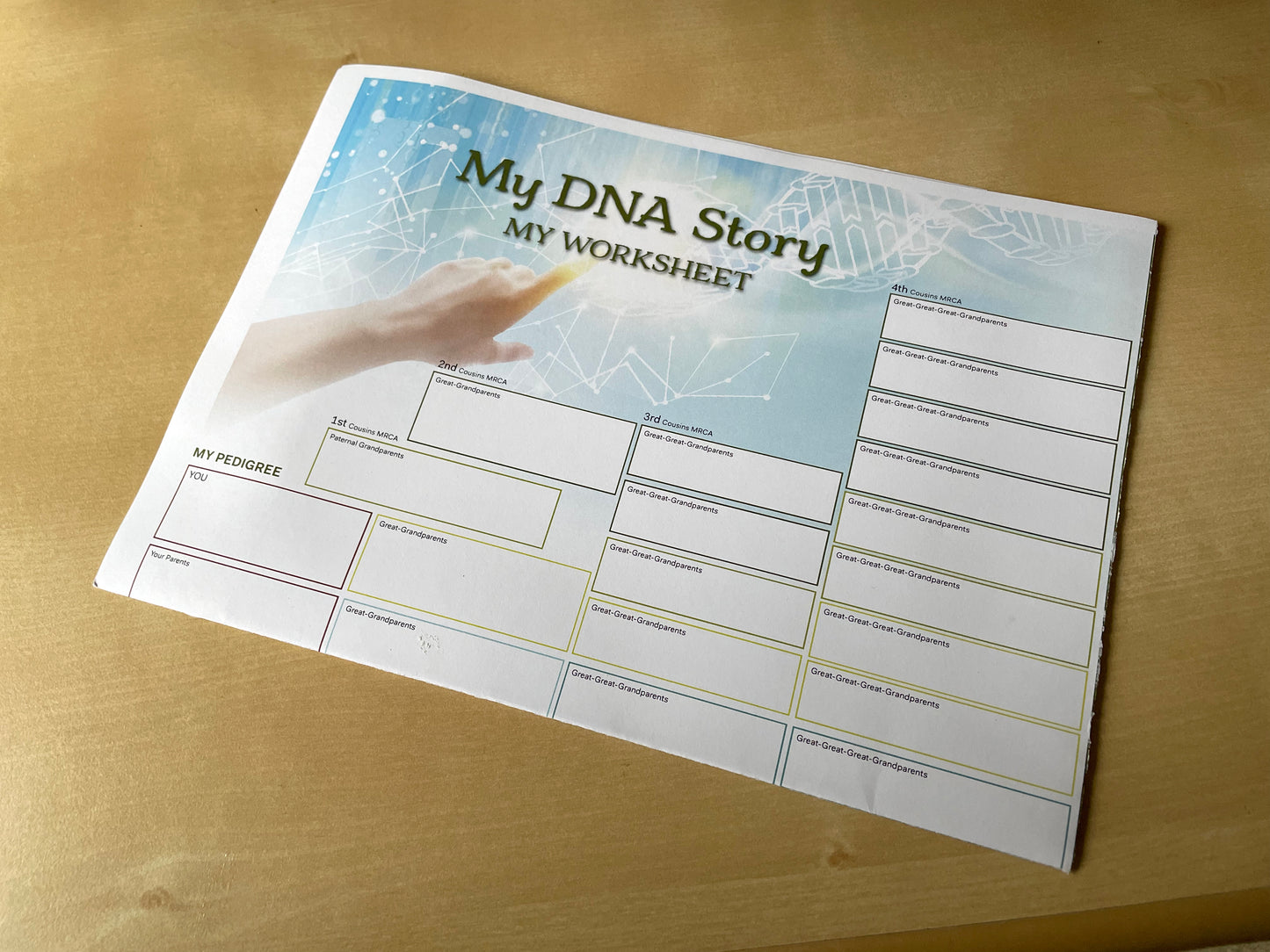 DNA Worksheet