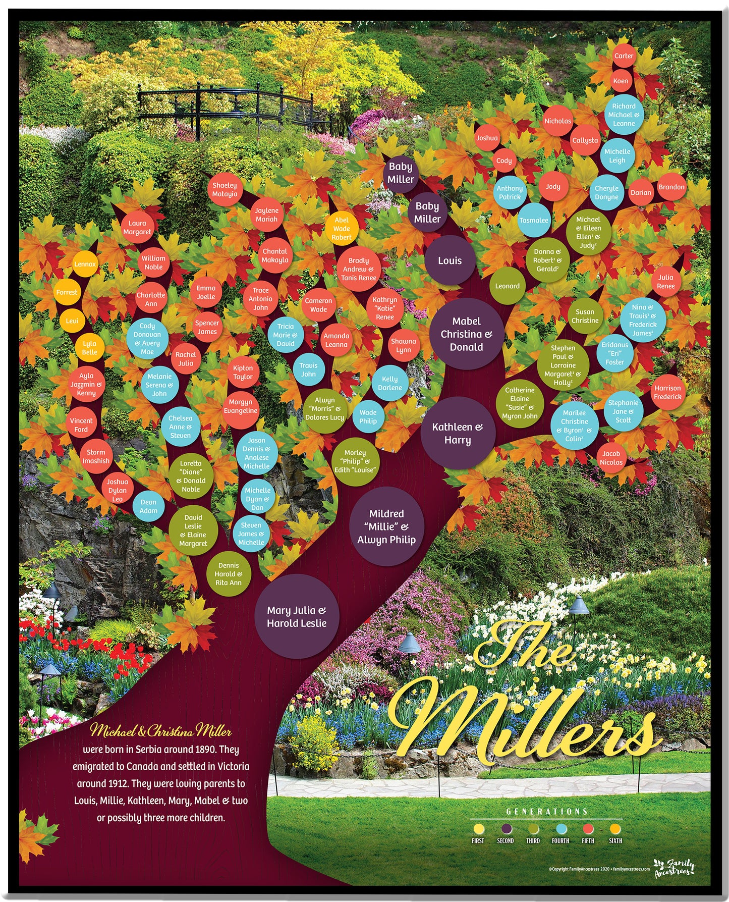 Heirloom Living Tree Poster Design (Deposit)
