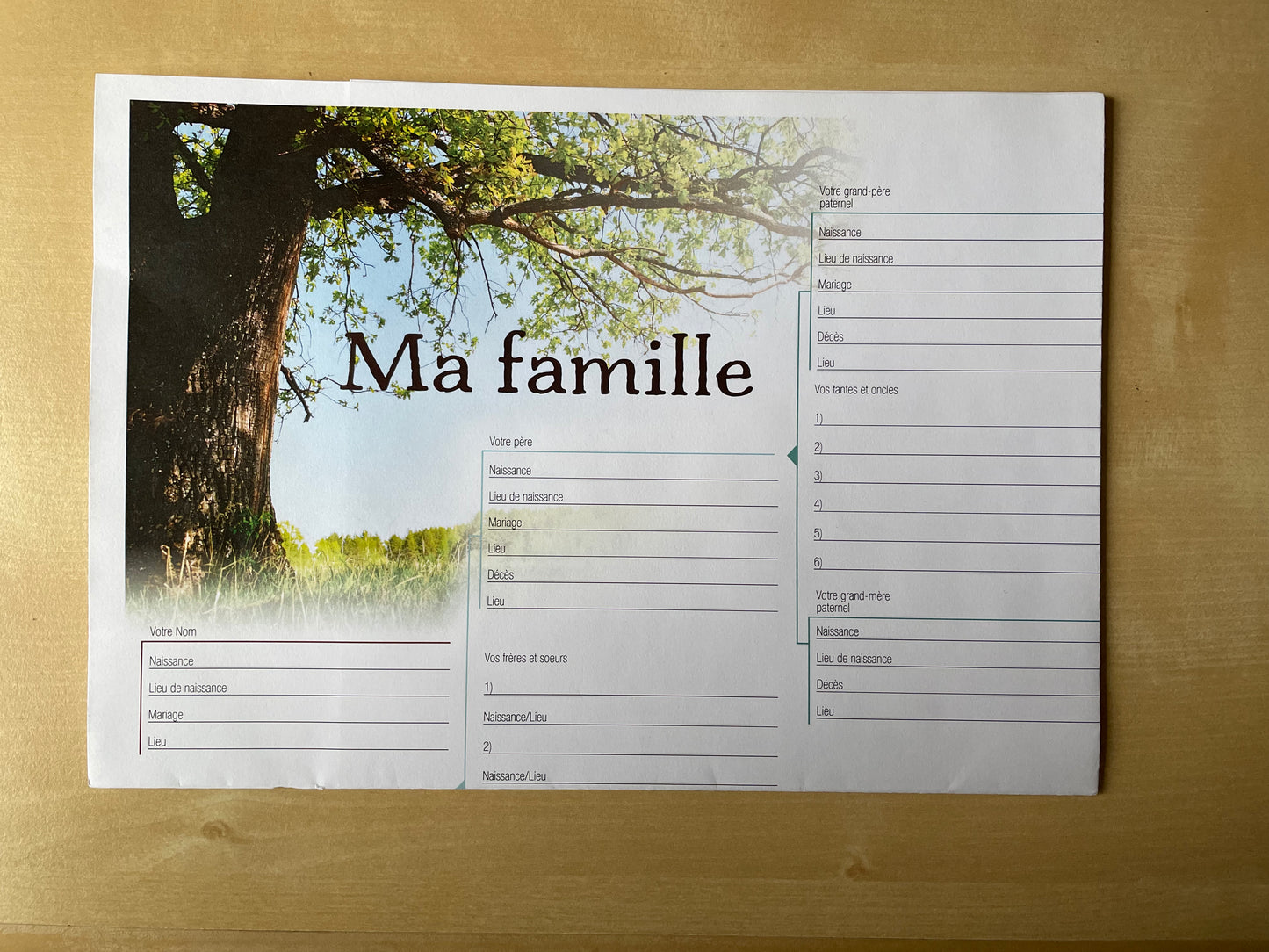 8 Generation Family Tree Chart (Paper, English & French)