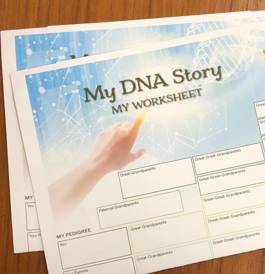 DNA Worksheet