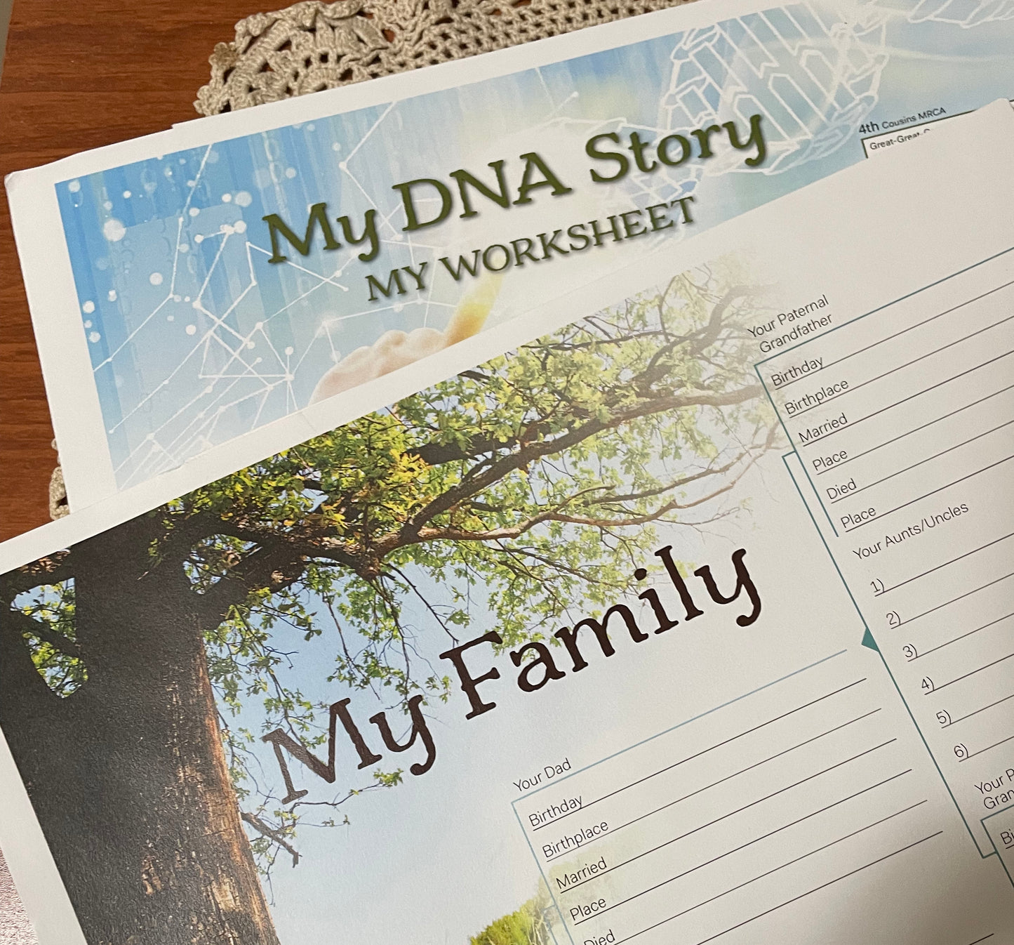 AncestryDNA Results Review Package